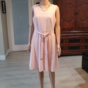 Never Worn Blush Pink Dress